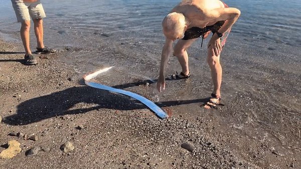 Rare Oarfish Appears in Shallow Waters Off Mexican Beach