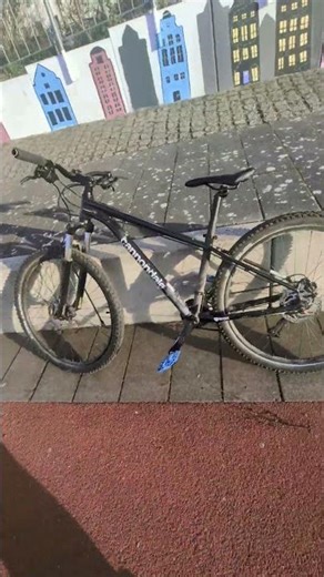 #mtb #bikelife #fahrrad #downhill #trending #bike#viral