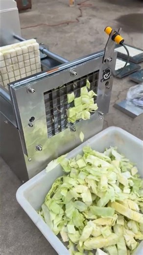 A practical machine for slicing cabbage very easily and quickly.