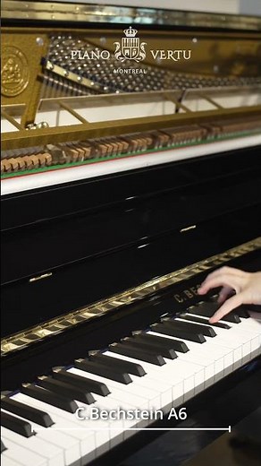 #bechstein #piano #classicalmusic