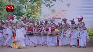 19K views · 223 reactions | A procession of heritage The Udarata...