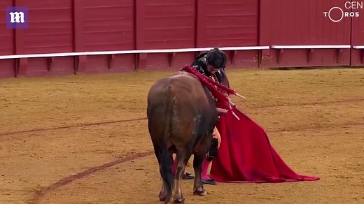Spanish matador wipes away tears of bull before killing it