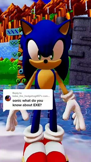 Sonic the Hedgehog Speed Challenge Response