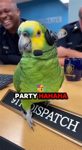 Police Officers vs Talking Parrot… They Didn’t Stand a Chance 😂