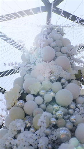 🎄✨ It’s beginning to look a lot like Christmas… at Morph Coffee! ✨☕ Come join us for our Christmas Lighting Ceremony and be part of a magical evening filled with warmth, music, and lights that sparkle just like the season. 📍 Morph Coffee – Dagupan 🕕 Sunday | October 26, 2025 - Program starts at 6:00 PM 🎁 Exciting prizes and freebies await! Cozy cups, good company, and that festive sparkle — the holidays start here! #MorphCoffee #LightUpTheSeason #ChristmasAtMorph | Morph Coffee