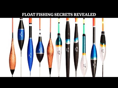 Bream Fishing for Beginners: Simple Rules for Big Results