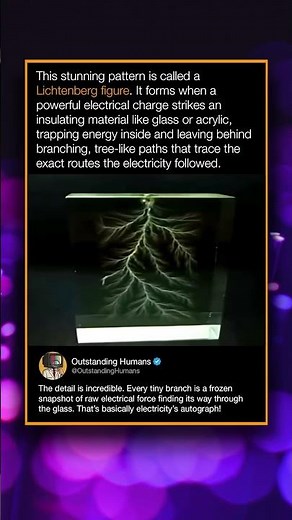 This stunning pattern is called a Lichtenberg figure. It forms when a powerful electrical charge