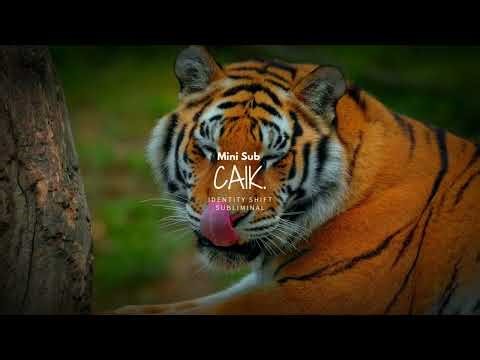 Identity Shift Subliminal – Step Into Your Higher Self - Cai K Subs