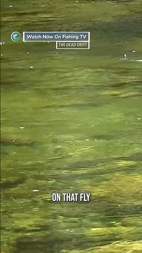 The thinking game of fly fishing - ‘The Dead Drift’ on FishingTV