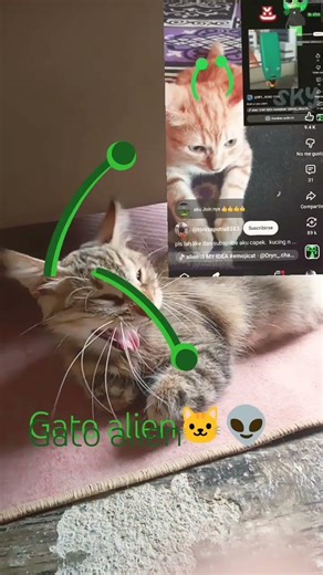 grabando con mi gato alien