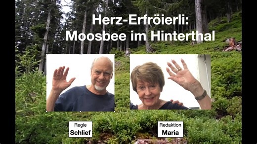 Moosbee im Hinterthal 2012