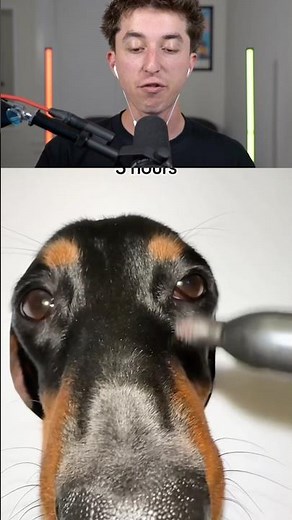 How To Draw Realistic Dog