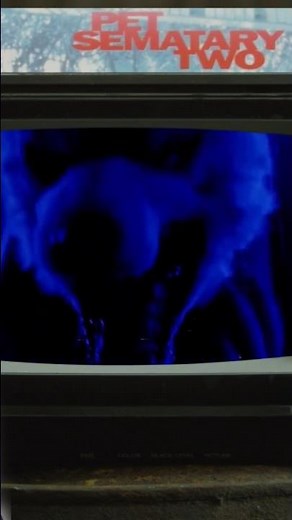 PET SEMATARY TWO - ZOWIE