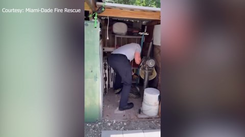 Invasive snake removed from Florida shed