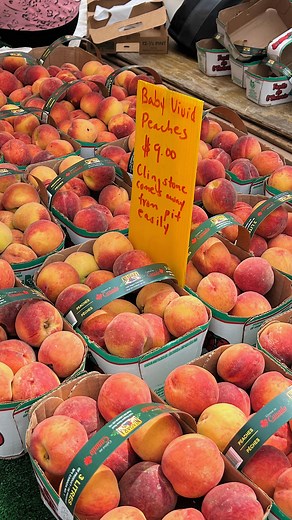 Linda Sun on Instagram: "my “IN SEASON” list: - BEANS + books + bats🫶🏻 - ALL THE FRUITS 🍓🫐🍑🍇 - Staying hydrated !! - hanging out w. my dog - peaches + prioritizing my peace - less posting more living 😚 - chocolate covered pb pretzels - being full, fuelled & happy my fav water bottle: @bubbabrands I keep it on me at all times + she keeps my water cold ALL DAY💕 (link in my bio to check her out) #ad parmesan (or feta) chilli oil fried eggs - pan fry: parmesan/feta + chilli oil + eggs - mix 