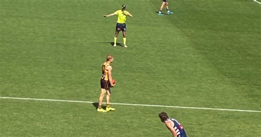 Hawthorn SSP hopefuls dominate match sim