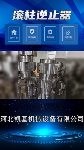 DT2N1-12逆止器ZQ750减速机低速防倒转