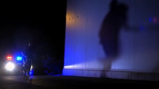 4.5K views · 253 reactions | Dog Squad NZ is back on your screens tonight  Watch on TVNZ 1 at 8pm or catch up later on TVNZ+ | New Zealand Police | Facebook