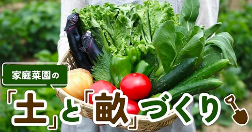 【畑の作り方】家庭菜園のための「土」と「畝」づくり | となりのカインズさん