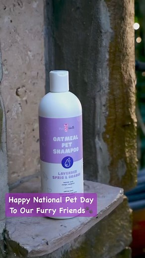 83 reactions · 57 shares | Happy #NationalPetDay  Treat yours to a pampering day with Pink Zebra’s Pet Care Products featuring safe, clean ingredients! | Pink Zebra Home | Facebook