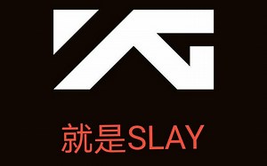 【YG混剪】YG凉了？专注自家就好！YG大佬表示不想给你眼神~