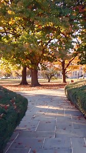 Nestled in the center of Boston’s Fenway-Kenmore neighborhood, Back Bay Fens is a park home to a rose garden as well as WWII and Vietnam memorials. The Fens lies near Newbury Street, several art museums, and Fenway Park. Where’s your favorite place to see fall foliage in Boston? #backbayfens #fenwaykenmore #boston #bostontravel #bostontrip | The Avid Ambler