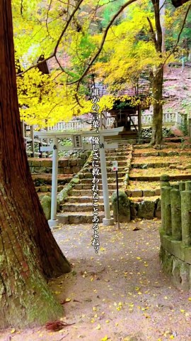 あなたにしかできない使命3#青玉神社 #心に響く言葉 #パワースポット #スピリチュアル #使命