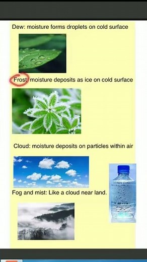 DEW + FOG + MIST + CLOUD + FROST - Condensation