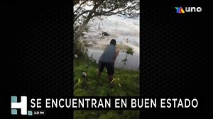 434K views · 703 reactions | Dos biólogos mexicanos se encuentran atrapados en la isla de #Tonga tras la violenta erupción de un volcán submarino. La Secretaría de Relaciones Exteriores emitió un comunicado para informar que analiza las opciones para rescatarlos. #HechosMeridiano | Azteca Sonora | Facebook