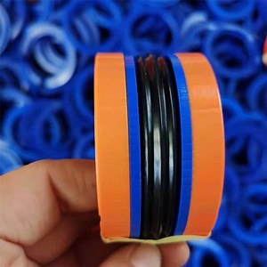 [Hot Item] Kdas/Tpm Type Combination Hydraulic Cylinder Seal Kit