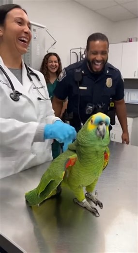 Parrot's Brutal Takedown at the Vet 😂⚖️ Our favorite talking bird is back, and this time he's enduring a rather humiliating vet visit! 😂 This funny animal videos moment captures our bird complaining about being examined naked by the vet, while a uniformed officer observes. It's a truly funny animals interaction, highlighting the unique personalities of our pets and the quirks of veterinary medicine! #shorts #funny #parrot | Global Weird News