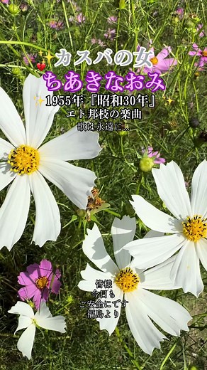 カスバの女 歌詞 - 懐かしい歌謡の名曲を楽しもう！