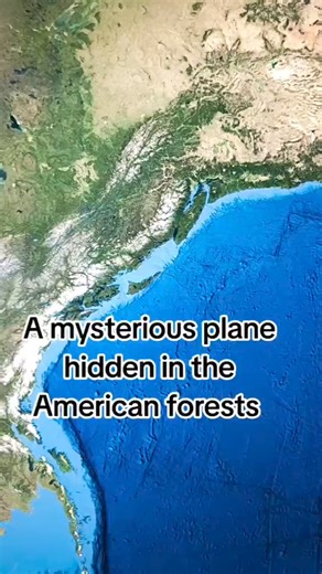 137K views · 786 reactions | #googleearth #mysterious #googlehide #america #forest | Google Earth 4U | Facebook