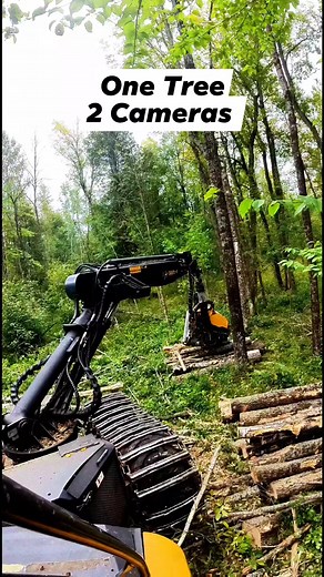 The slow motion at the end is 👌🌳 #slowmo #logging #timber #sawdust | Logger Mack