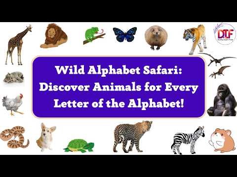 Wild Alphabet Safari: Discover Animals for Every Letter of the Alphabet!