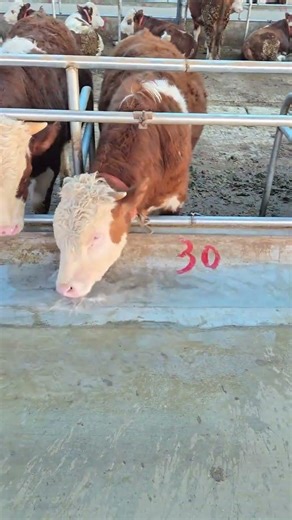 Solve This Problem Like a Pro: Expert Tips Inside