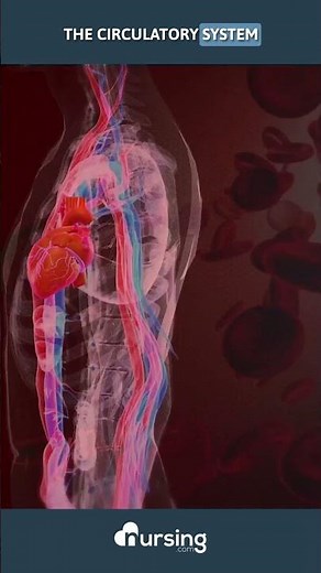 Common Symptoms of Distributive Shock #shorts #nursing #nursingstudent #nurse #nursingschool #shock