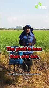 She turned 11 rai into a higher-yield field with 4Tree—real results! 🌾✨ #4Tree #Booster