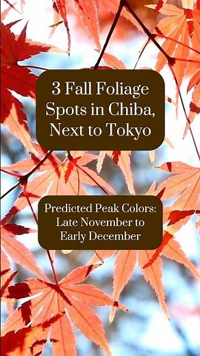 3 Fall Foliage Spots in #Chiba next to #Tokyo