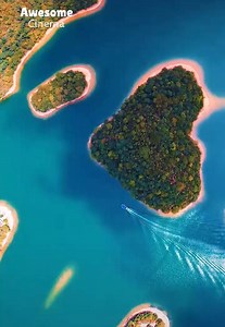 Masterpiece of nature | New Cinema 2019