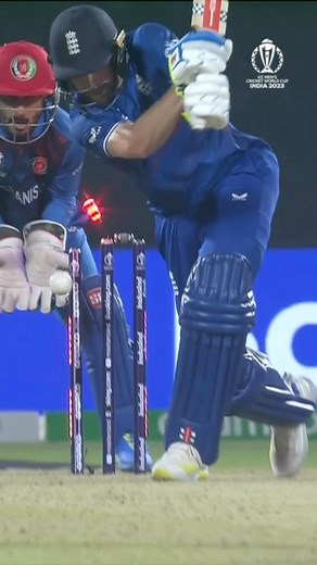 774K views · 10K reactions | The celebration says it all  #CWC23 #ENGvAFG #Cricket #CricketReels | ICC - International Cricket Council | Facebook