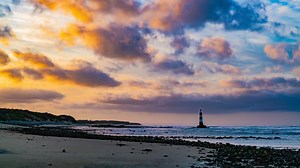 114K views · 2.2K reactions | Discover why Port Elizabeth is known as the friendly city. | Beautiful News | Facebook