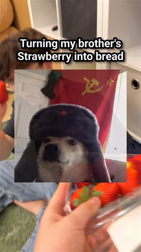 Taizo Zaki on Instagram: "Turning my brother’s Strawberry into Bread! 🍞 @panasonickitchen_au"