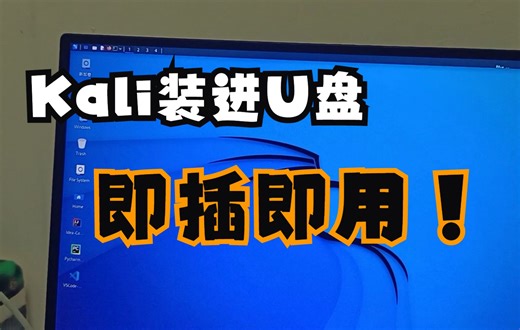 kali-Linux安装到盘，即插即用。实现数据持久化