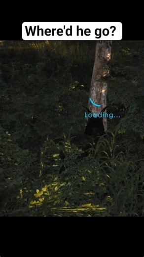 I don't understand what happened.