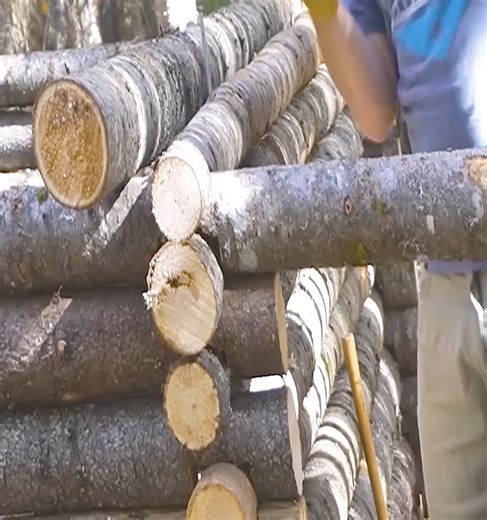 Building a secret bushcraft cabin for survival and heating with a wood stove | Steven Kimberly