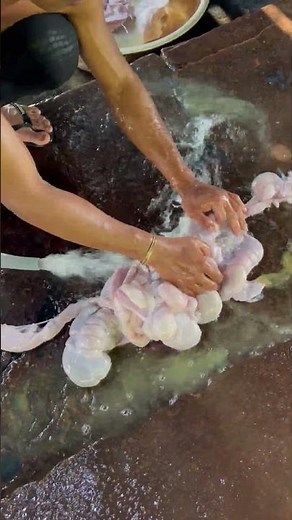 Cleaning Pork Intestines Step by Step | Full Process #butcherskills #intestine #porkcutting