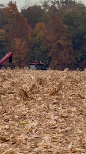 Grain cart set up at Langfeldt Farms in Plymouth Indiana.#tractor #farming #farm #harvest #farmerappreciation | BrushTamer "Back to Earth"