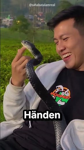 Er wurde zum besten Freund einer Kobra 🐍 🤝