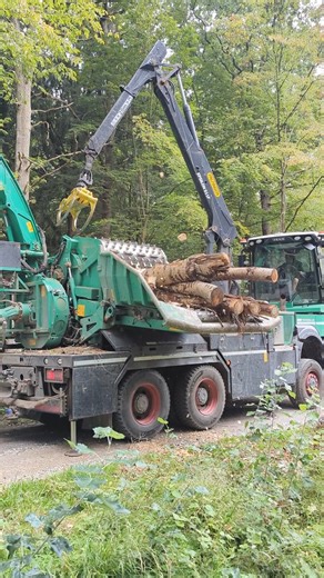Kurz erklärt! 🧐 Hacken von Industrieholz Holz, welches nicht verwertet werden kann, wird genutzt um Strom/Wärme zu erzeugen. Es gibt Waldbesitzer/innen, die eigene Hackschnitzelanlage haben und das Holz aus ihrem Wald für diese Anlage nutzen. Genauso gut gibt es industrielle Anlagen, wo das Holz thermisch verwertet wird. Das meiste Holz, welches bei uns zu Hackschnitzeln verarbeitet wird, stammt vom Kronenholz. Das Holz, welches ihr in dem Video seht, ist Pappel- und Eschenholz, das bei einer V